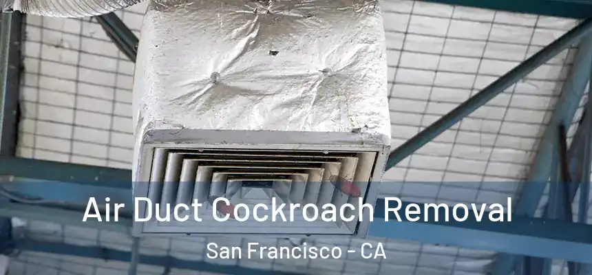  Air Duct Cockroach Removal San Francisco - CA