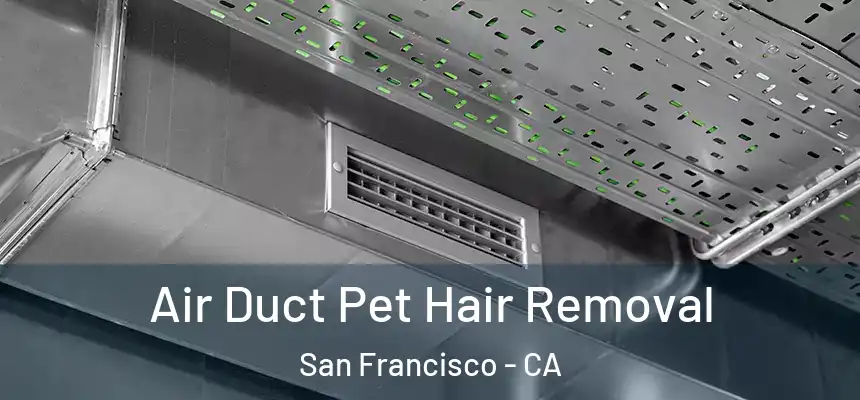 Air Duct Pet Hair Removal San Francisco - CA