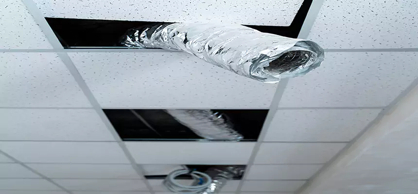Our Air Duct Pet Hair Removal Services in San Francisco, CA