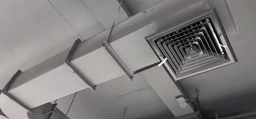 Restorative Allergy Relief Vent Cleaning – Coil, Blower & Housing Detail in San Francisco